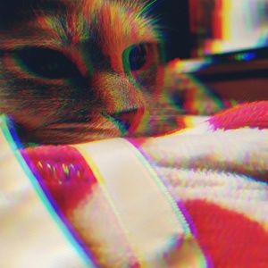 Meet your Posher, Sage